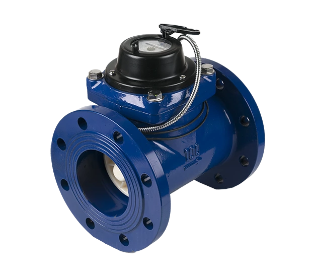 СТВХ-100 с импульсным выходом (ДГ)